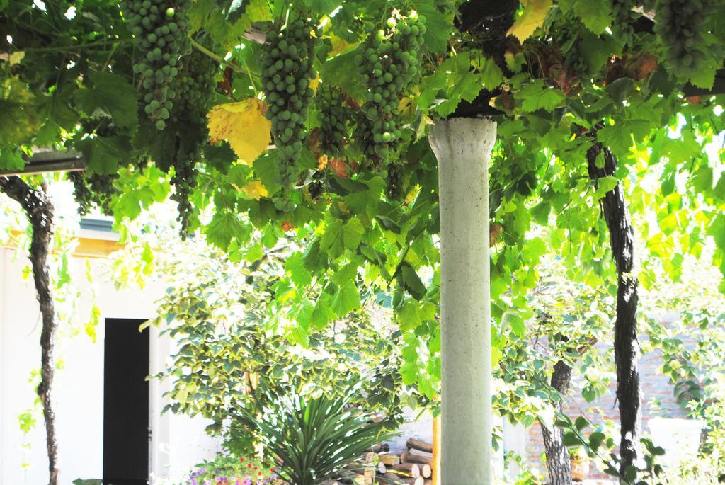 Hostal Petit Verdot Santa Cruz Εξωτερικό φωτογραφία